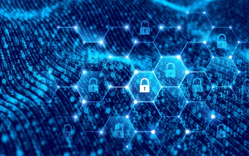 bevictor伟德官网综合资讯